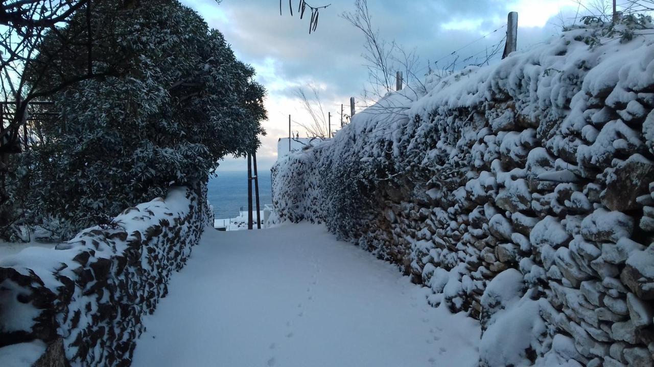 Apartment Vuk I Novak Ulcinj Exterior foto
