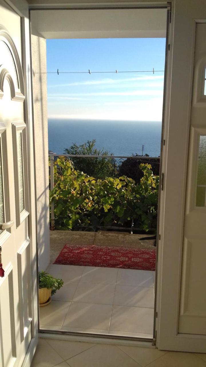 Apartment Vuk I Novak Ulcinj Exterior foto